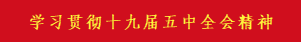十九大专题